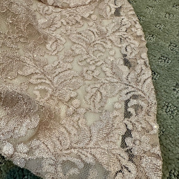 Cachet Rose gold/Blush pink Elegant Lace Evening Gown size 6 - Picture 3 of 11